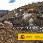 Dam-Removal